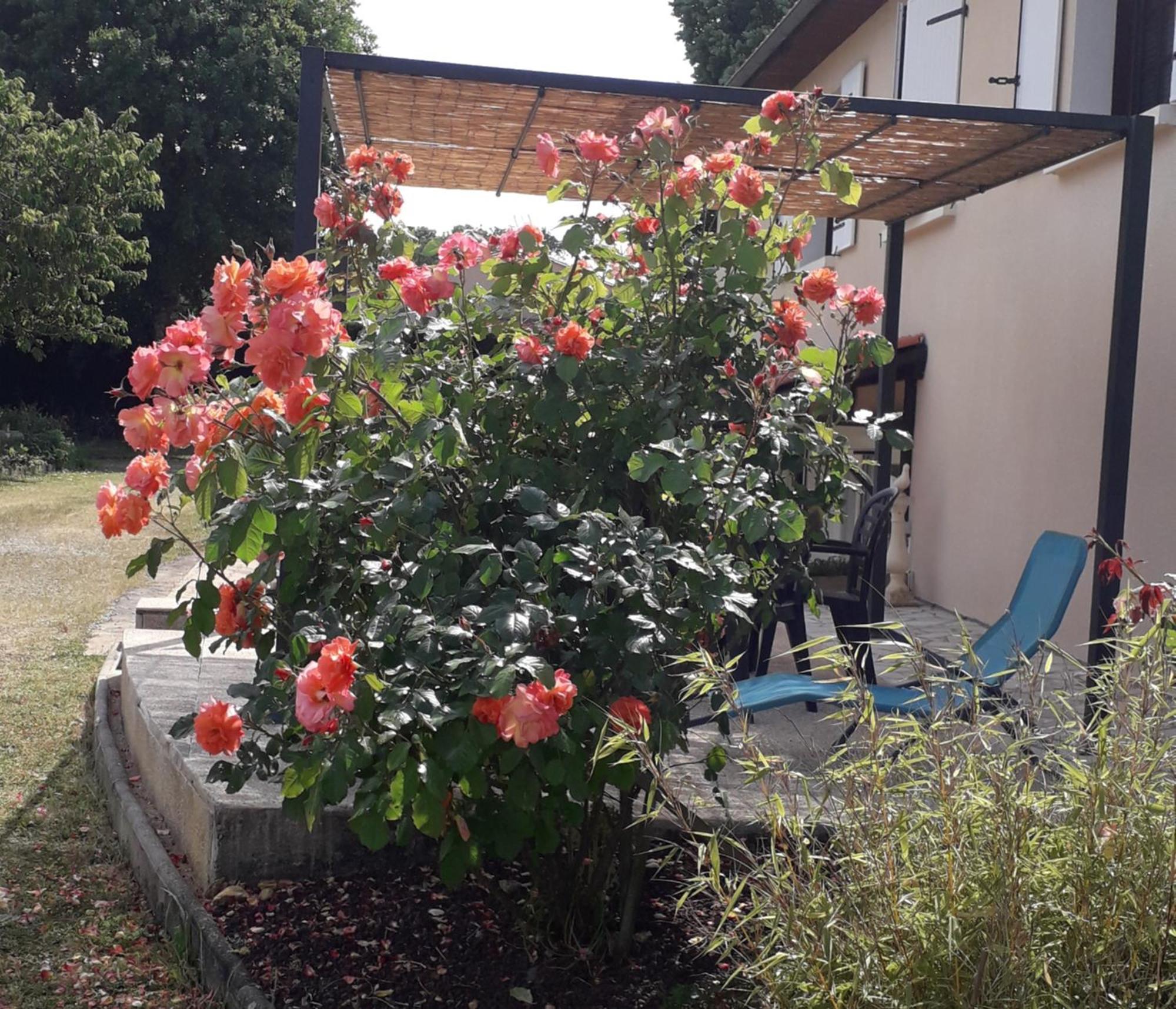 Bed and Breakfast La Salamandre De Chazelles 16 Exterior foto